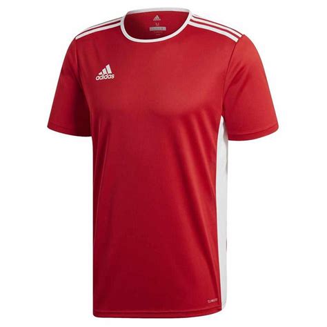 adidas Entrada 18 Trikot weiß 